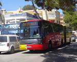 islandwide bus