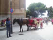 Horse & Cart around the Historic Centre