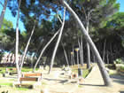 tree lined walkway peguera
