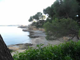 fornells coves